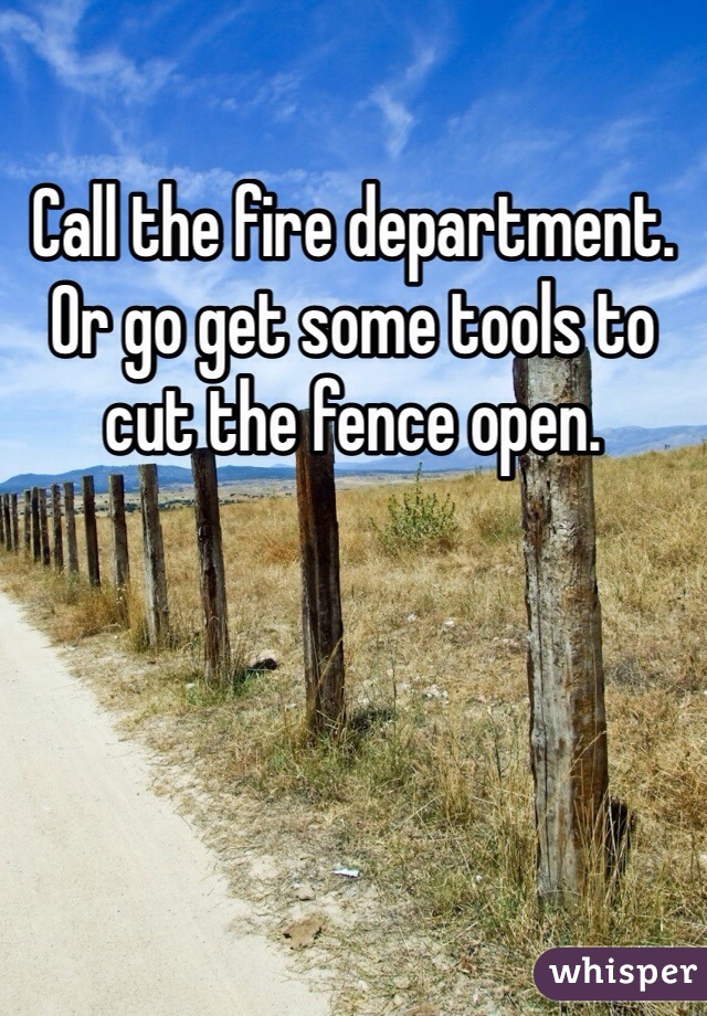 Call the fire department. Or go get some tools to cut the fence open. 