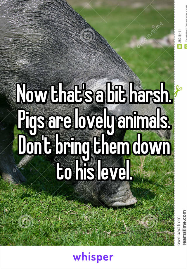 Now that's a bit harsh.
Pigs are lovely animals.
Don't bring them down to his level.