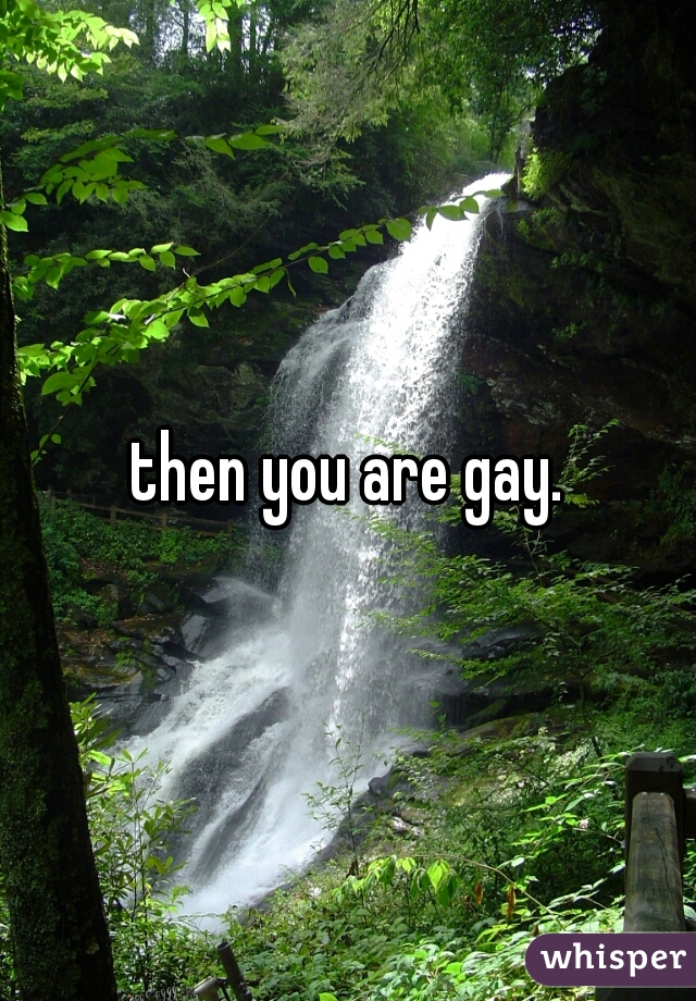 then you are gay.