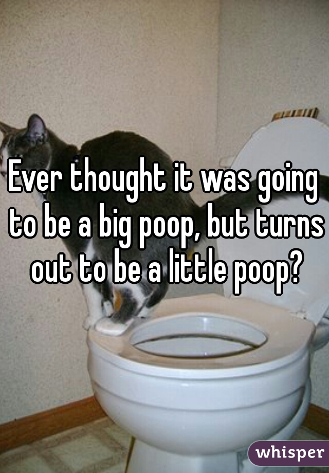Ever thought it was going to be a big poop, but turns out to be a little poop?