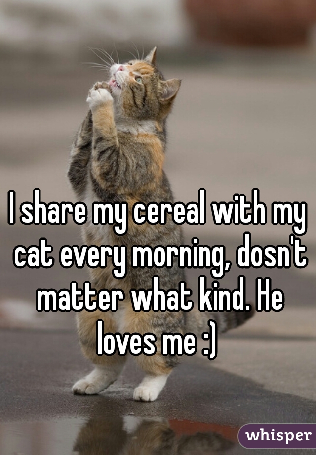 I share my cereal with my cat every morning, dosn't matter what kind. He loves me :) 