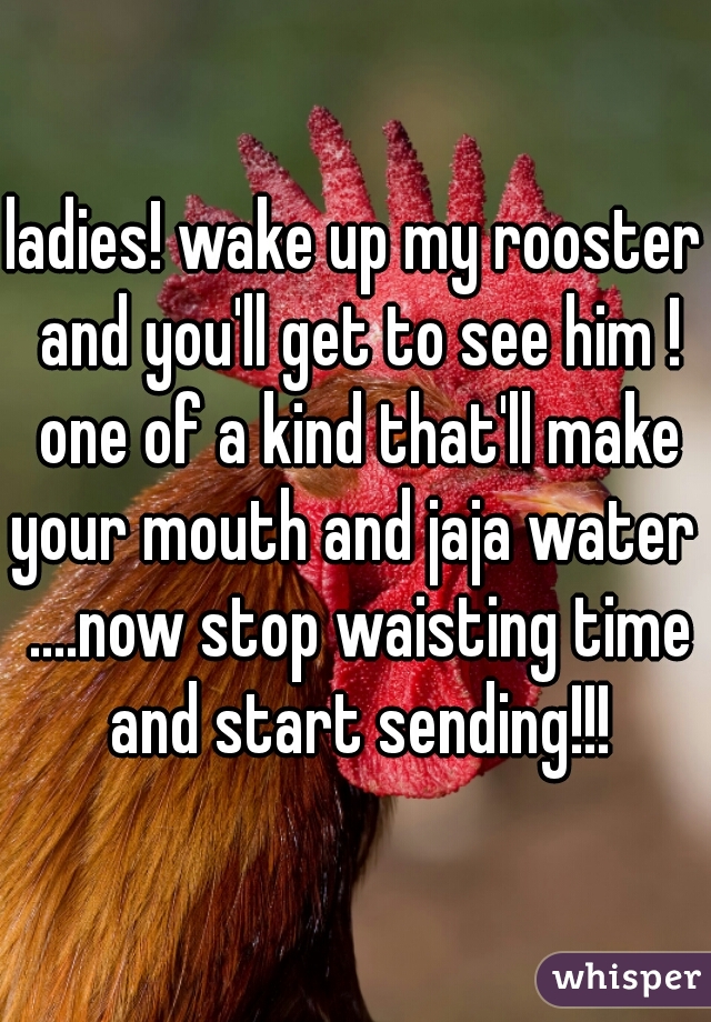 ladies! wake up my rooster and you'll get to see him ! one of a kind that'll make your mouth and jaja water  ....now stop waisting time and start sending!!!