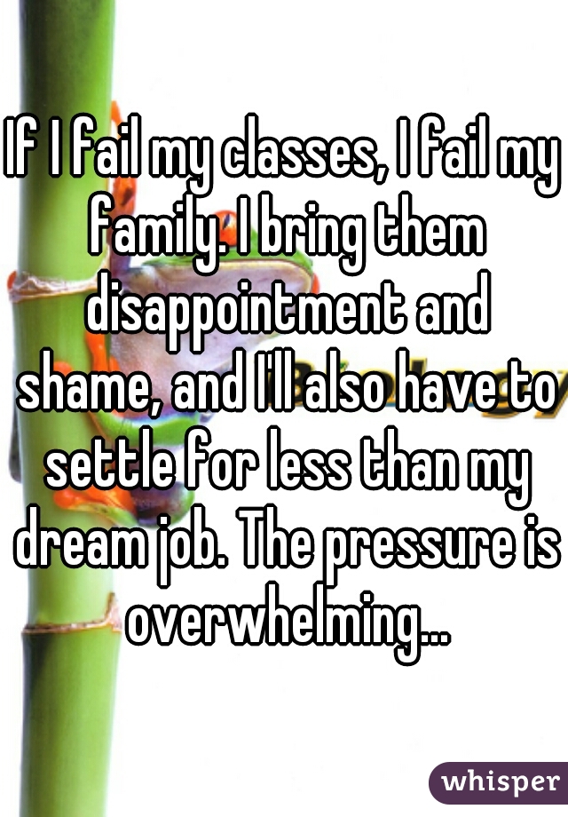 If I fail my classes, I fail my family. I bring them disappointment and shame, and I'll also have to settle for less than my dream job. The pressure is overwhelming...
