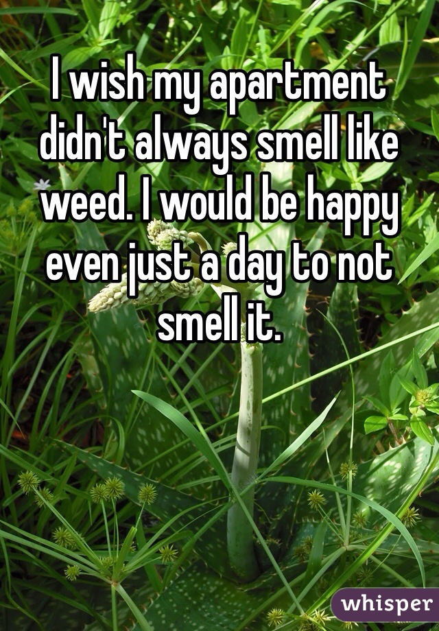 I wish my apartment didn't always smell like weed. I would be happy even just a day to not smell it. 