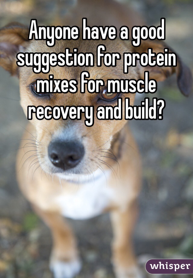 Anyone have a good suggestion for protein mixes for muscle recovery and build?