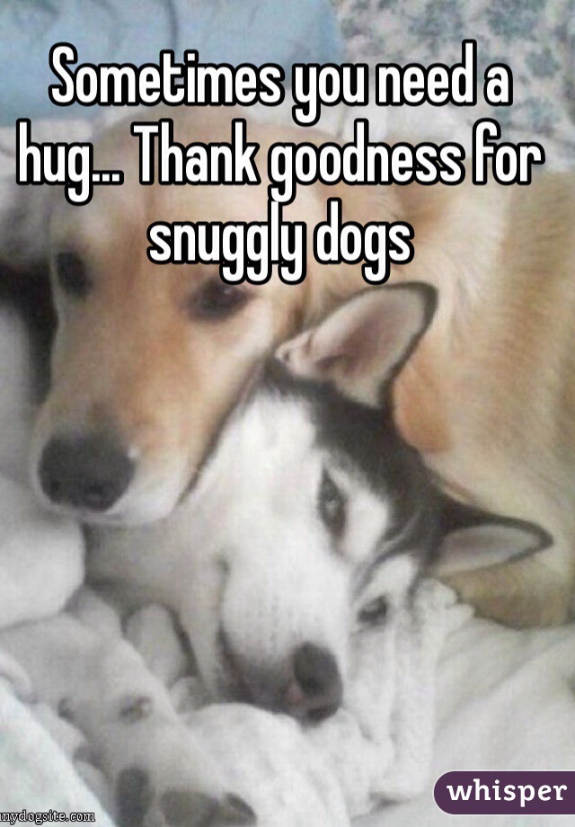 Sometimes you need a hug... Thank goodness for snuggly dogs 
