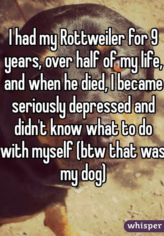 I had my Rottweiler for 9 years, over half of my life, and when he died, I became seriously depressed and didn't know what to do with myself (btw that was my dog)