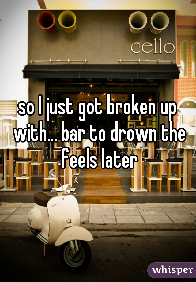 so I just got broken up with... bar to drown the feels later