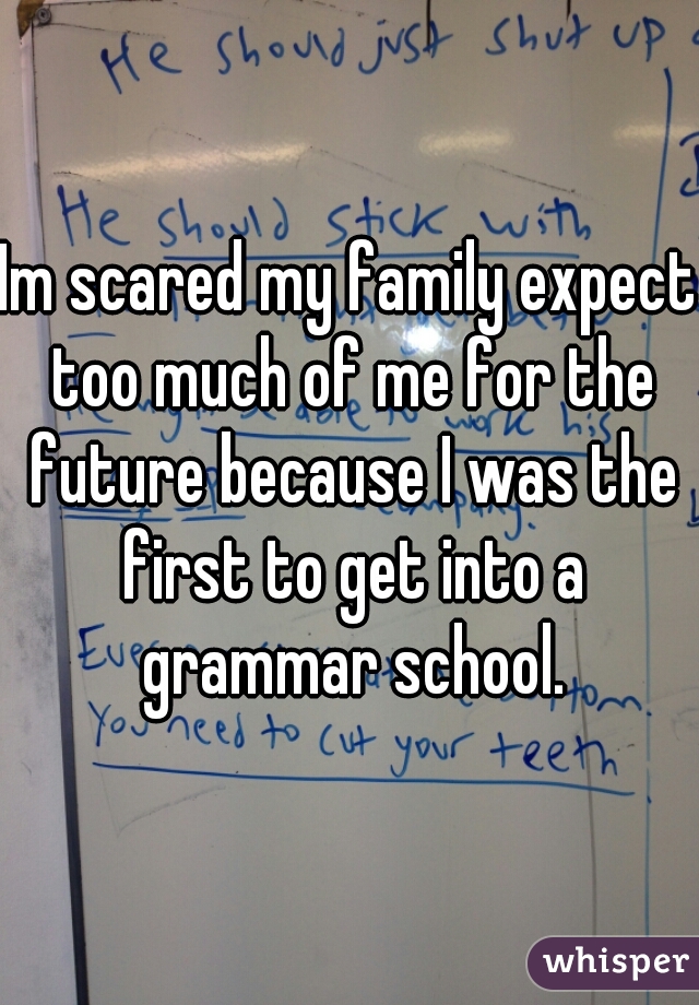 Im scared my family expect too much of me for the future because I was the first to get into a grammar school.