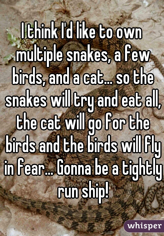 I think I'd like to own multiple snakes, a few birds, and a cat… so the snakes will try and eat all, the cat will go for the birds and the birds will fly in fear… Gonna be a tightly run ship!