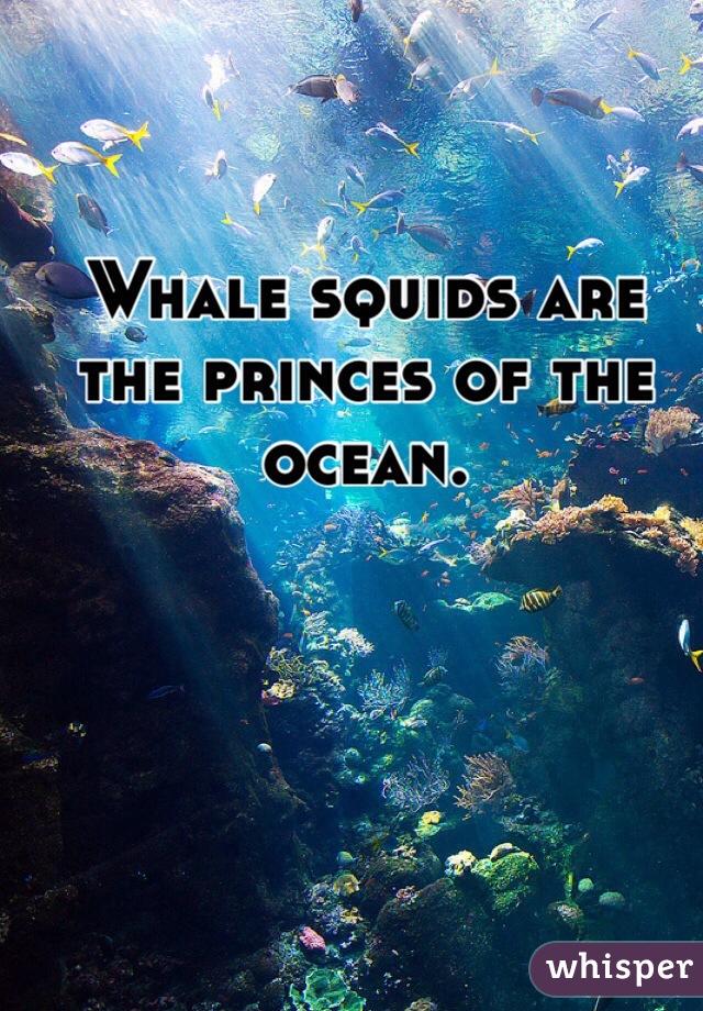 Whale squids are the princes of the ocean.