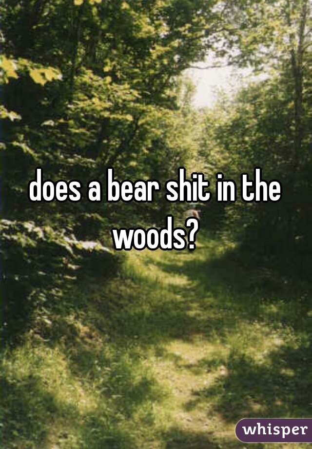 does a bear shit in the woods? 