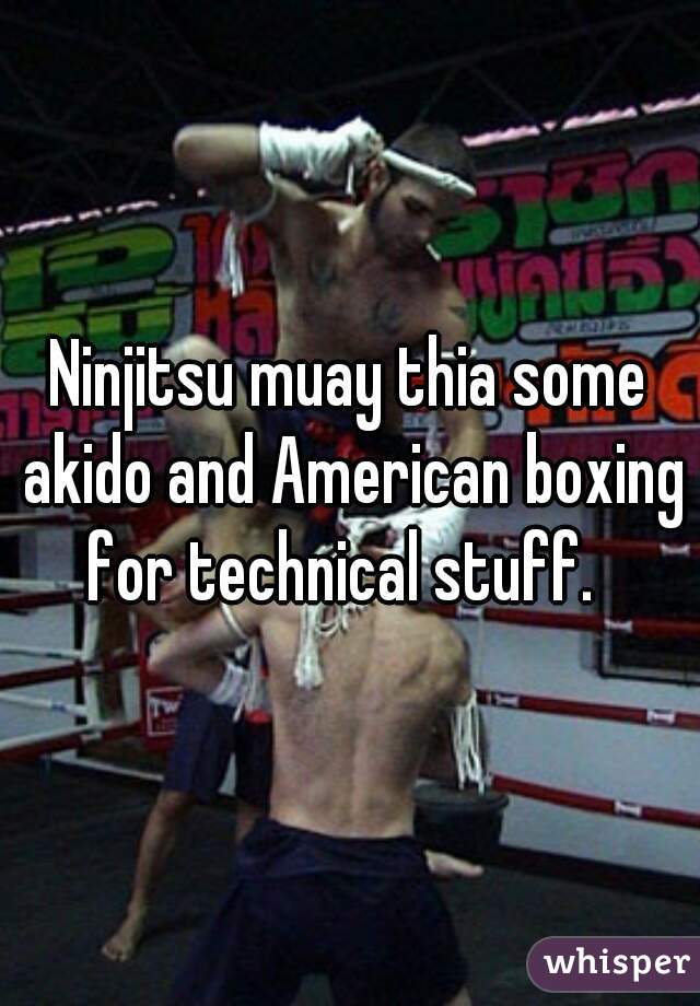 Ninjitsu muay thia some akido and American boxing for technical stuff.  
