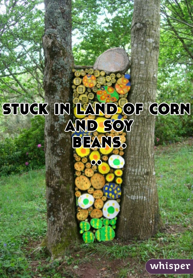 stuck in land of corn and soy beans...