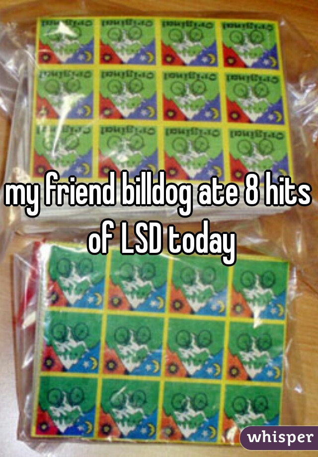 my friend billdog ate 8 hits of LSD today
