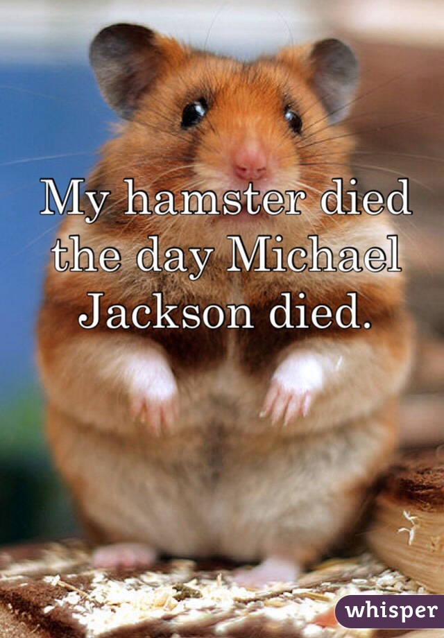 My hamster died the day Michael Jackson died.