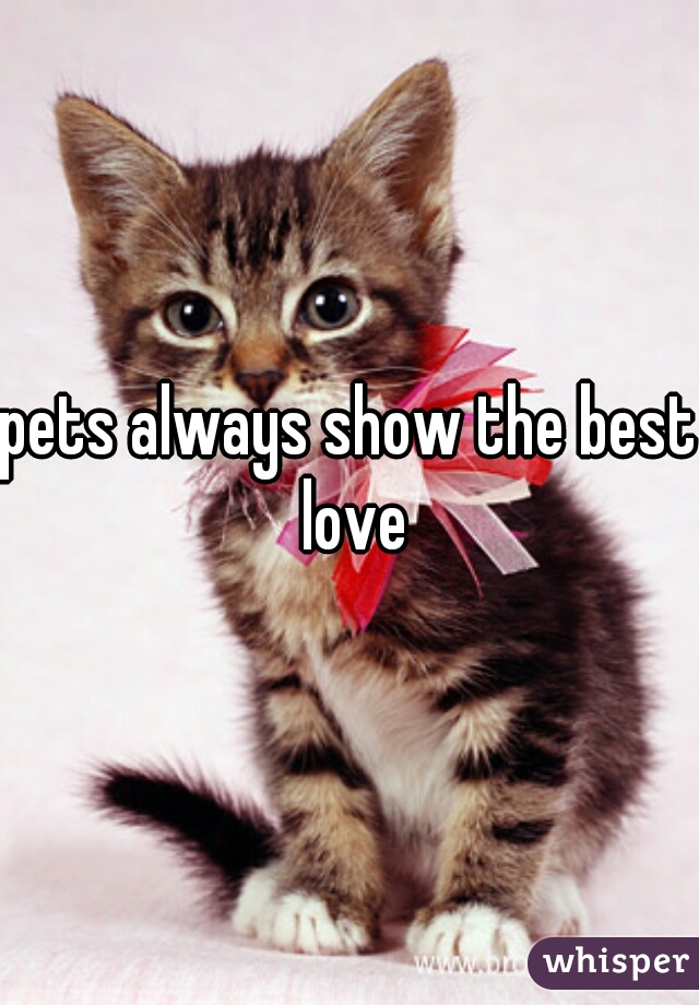 pets always show the best love
