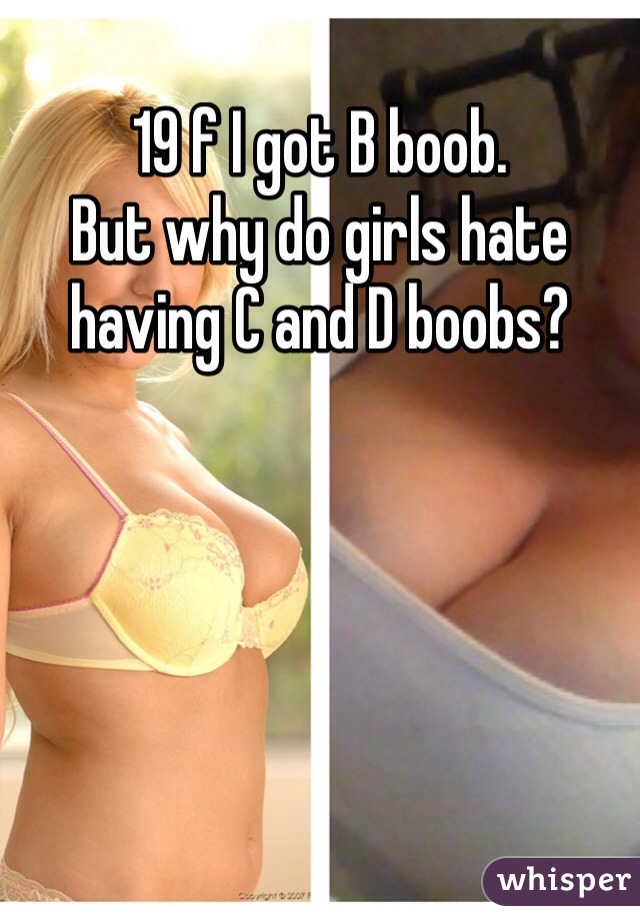 19 f I got B boob.
But why do girls hate having C and D boobs?