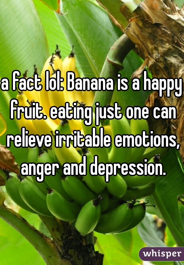 a fact lol: Banana is a happy fruit. eating just one can relieve irritable emotions, anger and depression.