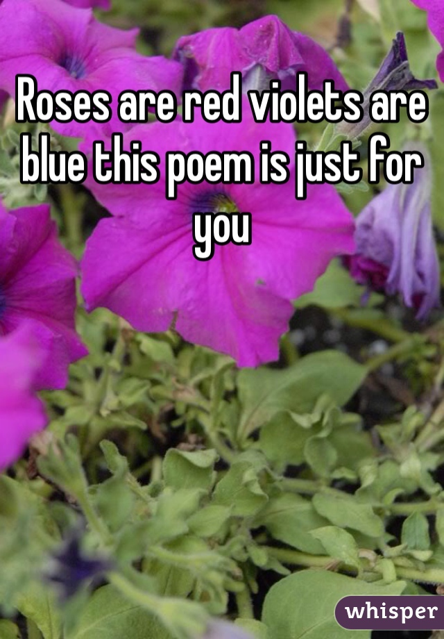 Roses are red violets are blue this poem is just for you 