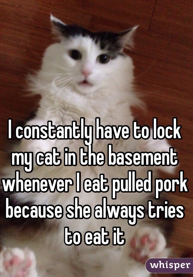 I constantly have to lock my cat in the basement whenever I eat pulled pork because she always tries to eat it