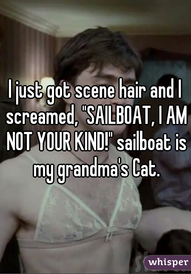 I just got scene hair and I screamed, "SAILBOAT, I AM NOT YOUR KIND!" sailboat is my grandma's Cat.
