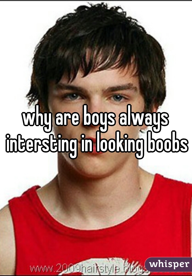 why are boys always intersting in looking boobs