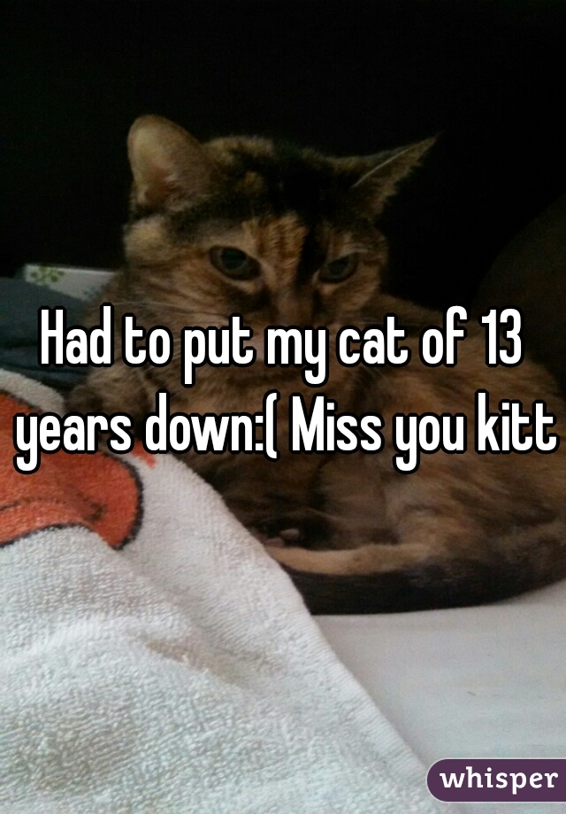 Had to put my cat of 13 years down:( Miss you kitty