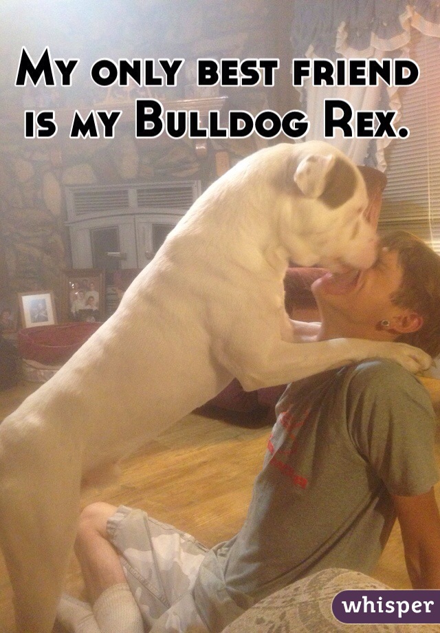 My only best friend is my Bulldog Rex.  