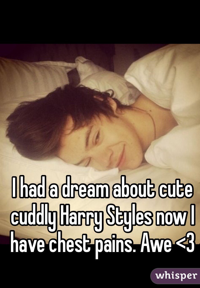 I had a dream about cute cuddly Harry Styles now I have chest pains. Awe <3