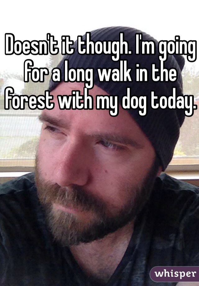 Doesn't it though. I'm going for a long walk in the forest with my dog today. 