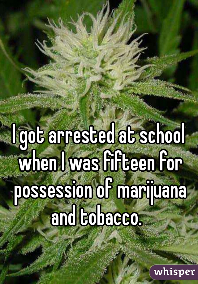 I got arrested at school when I was fifteen for possession of marijuana and tobacco.  