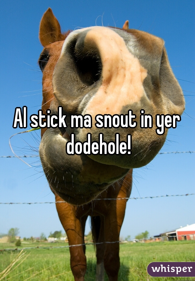 Al stick ma snout in yer dodehole!