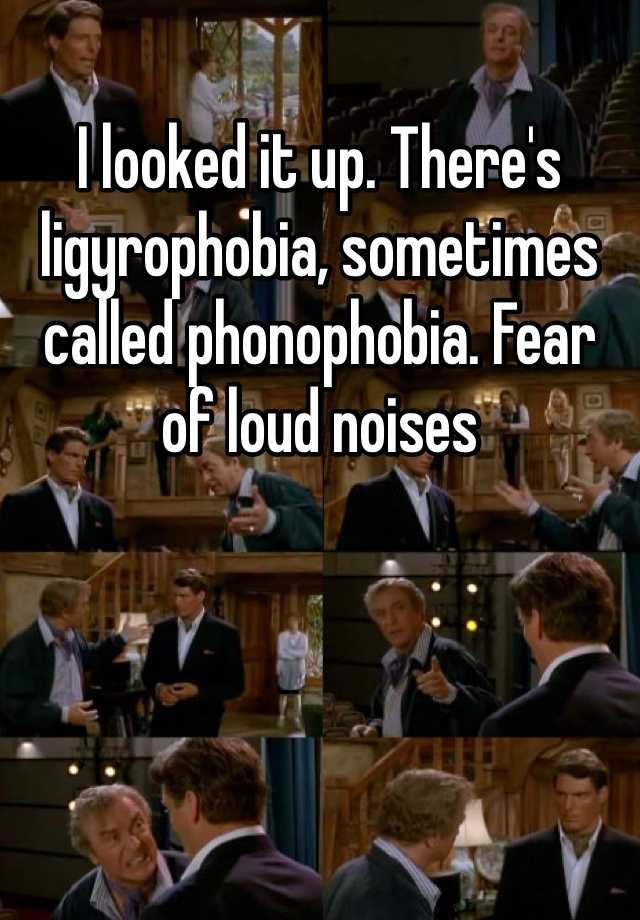 I Looked It Up Theres Ligyrophobia Sometimes Called Phonophobia Fear Of Loud Noises 6439