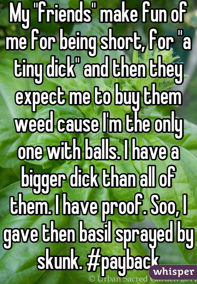 My "friends" make fun of me for being short, for "a tiny dick" and then they expect me to buy them weed cause I'm the only one with balls. I have a bigger dick than all of them. I have proof. Soo, I gave then basil sprayed by skunk. #payback