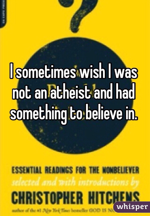 I sometimes wish I was not an atheist and had something to believe in.  