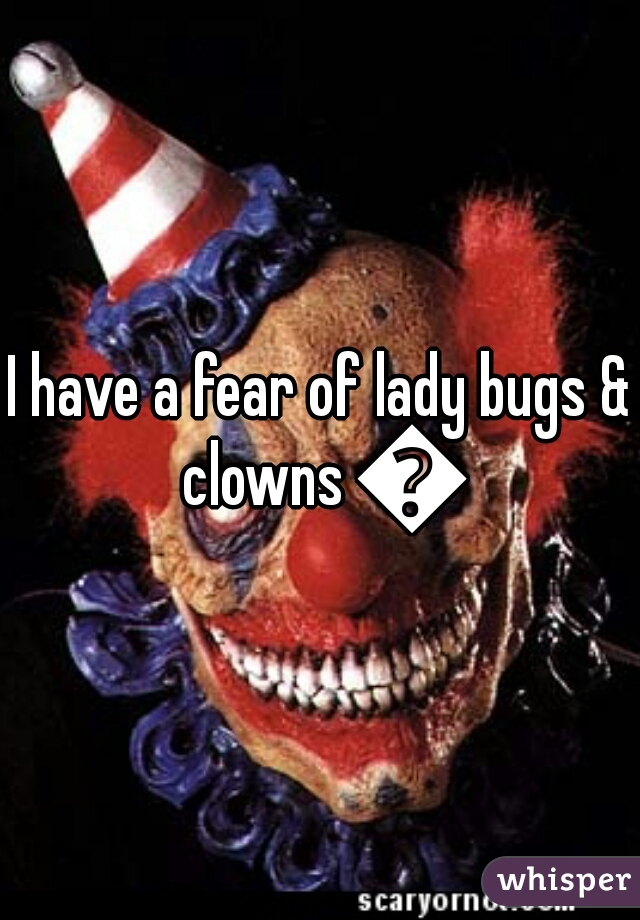 I have a fear of lady bugs & clowns 🙊
