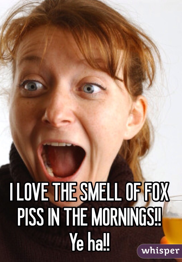 I LOVE THE SMELL OF FOX PISS IN THE MORNINGS!!        Ye ha!!