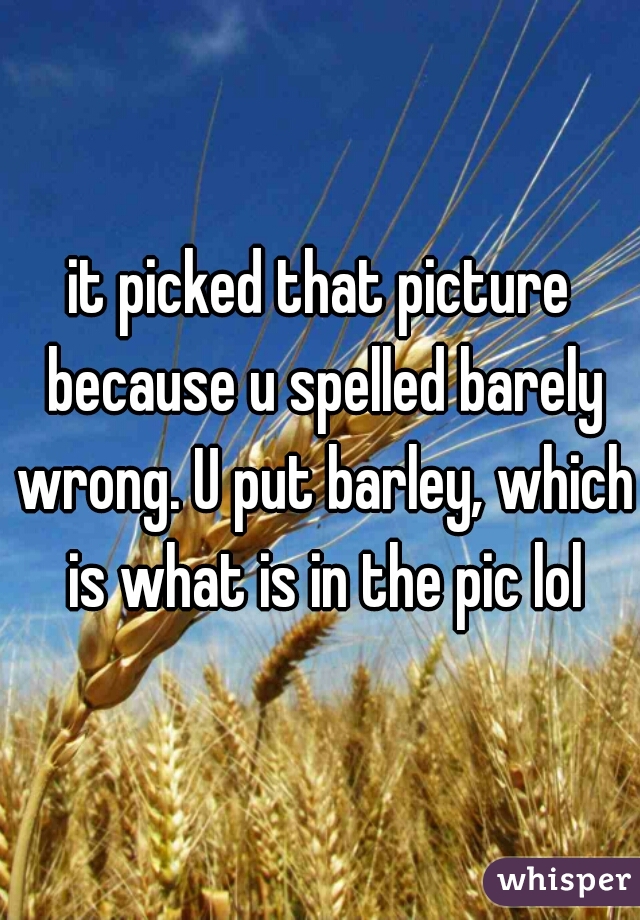 it picked that picture because u spelled barely wrong. U put barley, which is what is in the pic lol