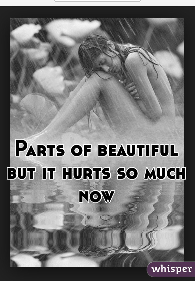 Parts of beautiful but it hurts so much now 
