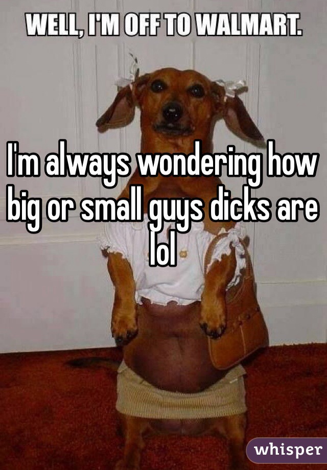 I'm always wondering how big or small guys dicks are lol