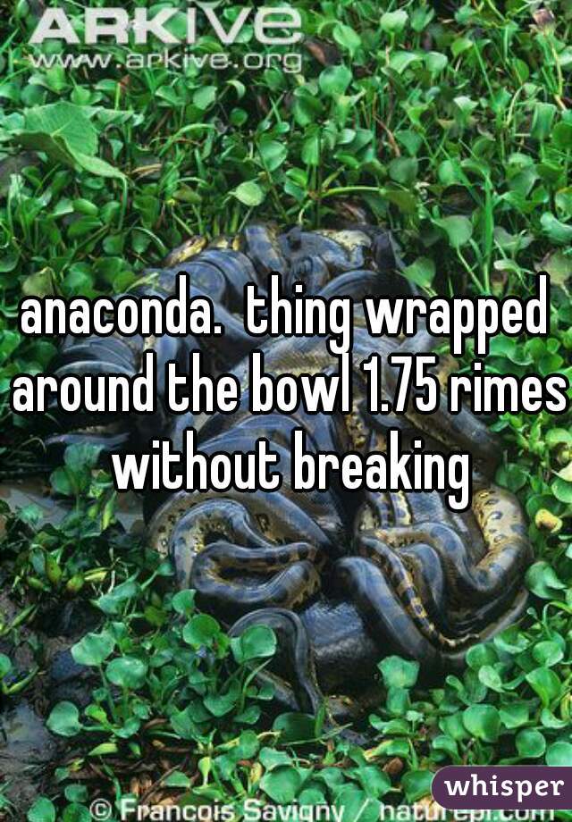anaconda.  thing wrapped around the bowl 1.75 rimes without breaking