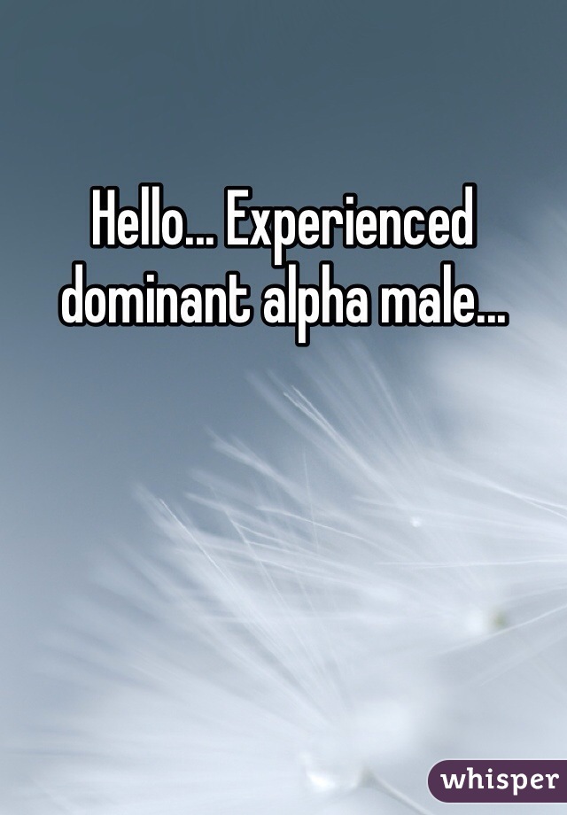 Hello... Experienced dominant alpha male...