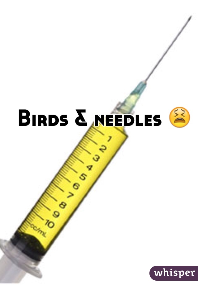 Birds & needles 😫