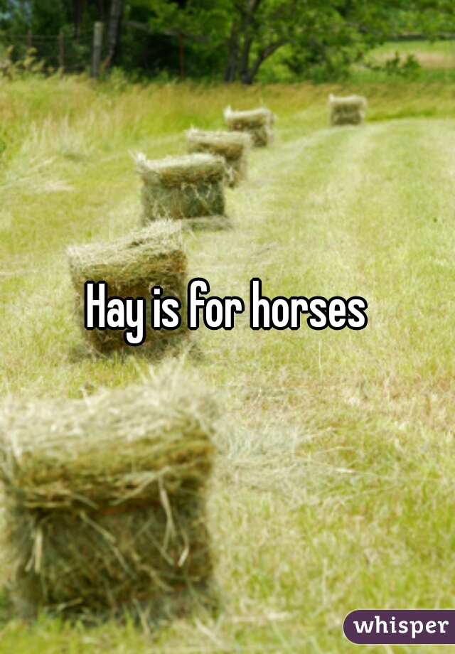 Hay is for horses