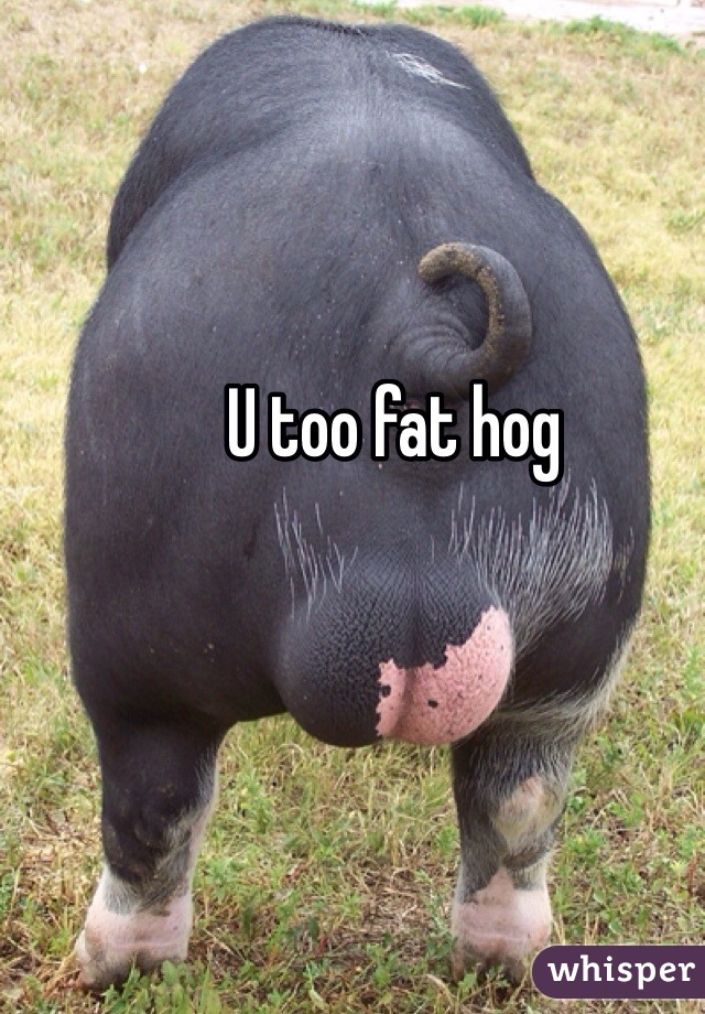 U too fat hog