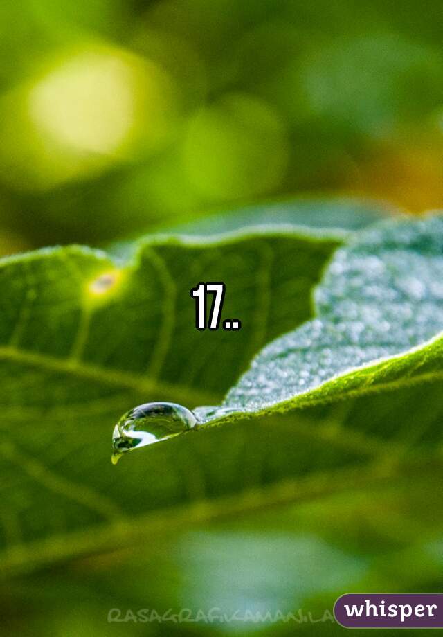 17.. 