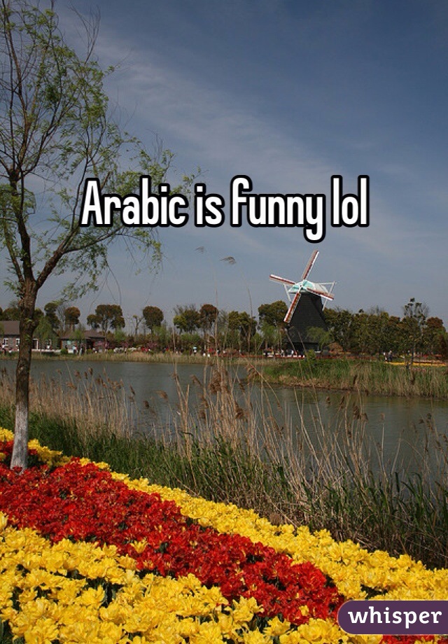 Arabic is funny lol