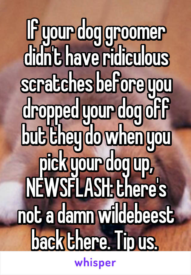 If your dog groomer didn't have ridiculous scratches before you dropped your dog off but they do when you pick your dog up, NEWSFLASH: there's not a damn wildebeest back there. Tip us. 