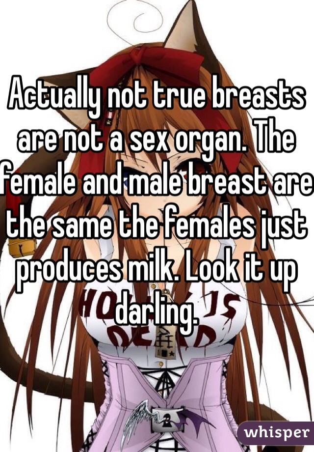 Actually not true breasts are not a sex organ. The female and male breast are the same the females just produces milk. Look it up darling. 